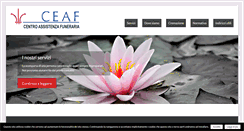 Desktop Screenshot of ceaf.it